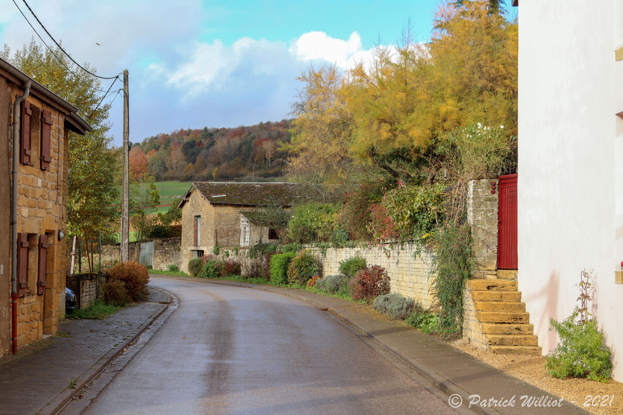 Torgny